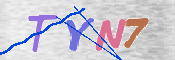キャプチャ画像