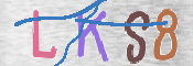 キャプチャ画像