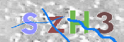 キャプチャ画像