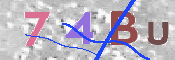 キャプチャ画像