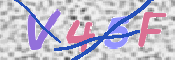 キャプチャ画像