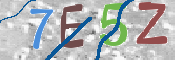 キャプチャ画像