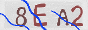 キャプチャ画像