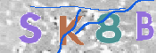 キャプチャ画像