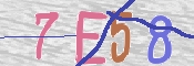 キャプチャ画像