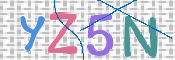 キャプチャ画像