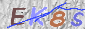 キャプチャ画像