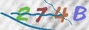 キャプチャ画像