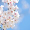 こころを健康に保つために必要なこと